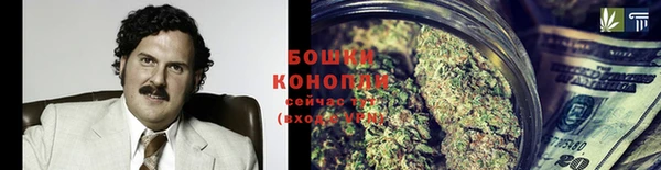 PSILOCYBIN Инсар