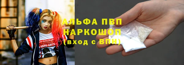 PSILOCYBIN Инсар
