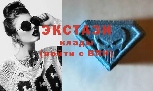 СК Инта